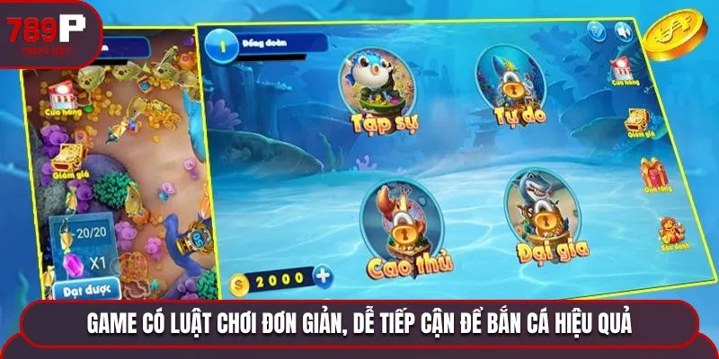 ban ca xu vang luat choi Game có luật chơi đơn giản, dễ tiếp cận để bắn cá hiệu quả