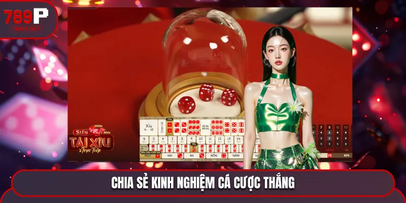 Bí quyết 789P chia sẻ kinh nghiệm chơi thắng