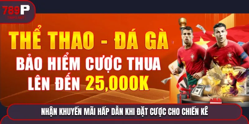 Nhận khuyến mãi hấp dẫn khi đặt cược cho chiến kê