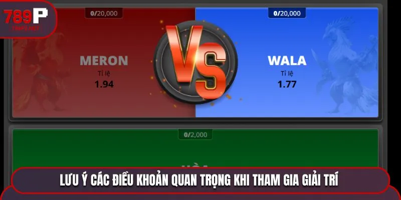 Lưu ý các điều khoản quan trọng khi tham gia giải trí 